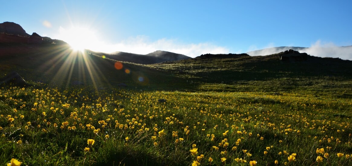 descubre las rutas en furgoneta primavera